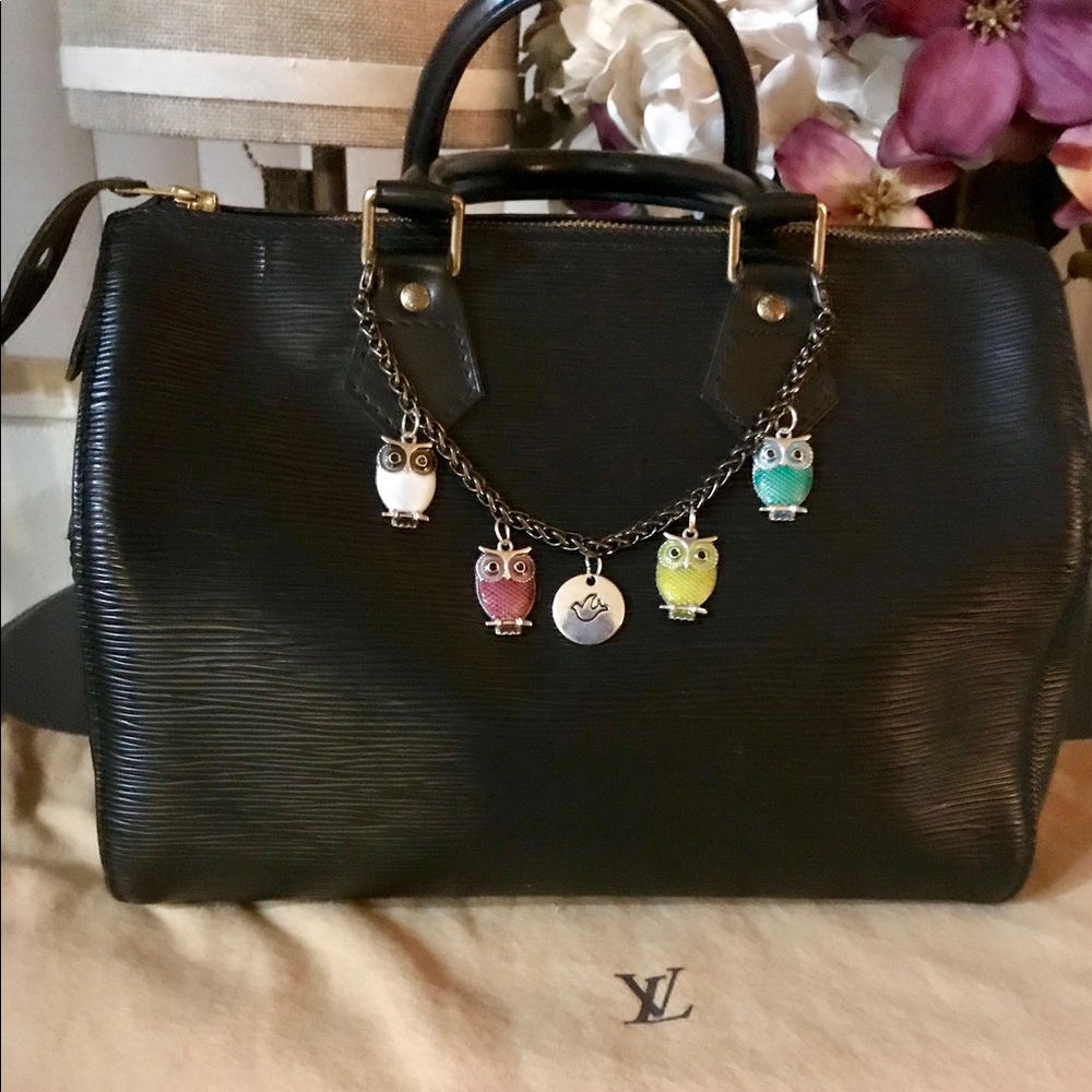 LV Speedy 25 Epi Leather Black